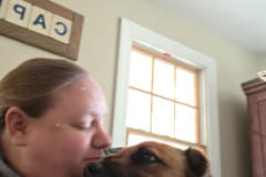 Request Quote: Cape Cod Critter Care - Dog Walking and Pet Sitting - East Falmouth, MA