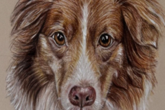 Request Quote: Custom Hand Drawn Pet Portraits - Nationwide