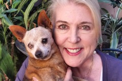 Request Quote: Pet Loss Grief Support Group - Meeting monthly since 2005 - Nationwide