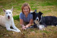 Request Quote: Private, In-Home Animal Training - Denton, TX