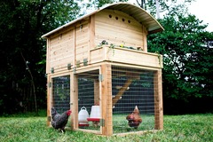 Request Quote: Backyard Chickens Rentals and More  - St. Louis, MO