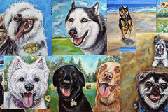 Request Quote: Pet Portraits by Angie Ketelhut - Seattle, WA