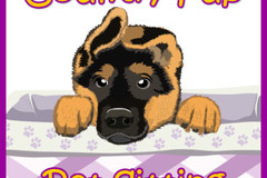 Request Quote: Country Pup In Home Pet Sitting & Dog Walking - Oxford, CT