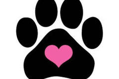 Request Quote: Julie's All-Pet Care Services - Pet Sitting and Dog Walking - Monroe Township, NJ