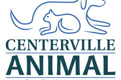 Request Quote: The Pet Salon at Centerville Animal Hospital - Pet Grooming  - Chesapeake, VA