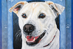Request Quote: Fine Art Pet Portraits in Acrylic  & Pen/Ink & Acrylic - Scottsdale, AZ - Nationwide