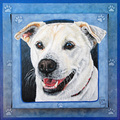 Scottsdale Arizona - Fine Art Pet Portraits in Acrylic - Scottsdale, AZ