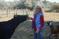 Request Quote: All Creatures Great & Small - Animal Reiki Care - Laporte, CO - Nationwide
