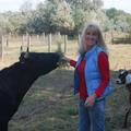 All Creatures Animal Reiki Care  - Laporte, CO
