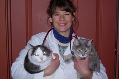 Request Quote: Mobile Veterinary Care - Accepting New Clients! - Madison, NH