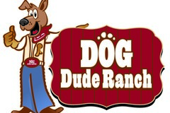 Request Quote: Dog Dude Ranch - Cage Free Dog Boarding and Sitting - Miami, FL