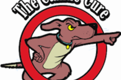 Request Quote: Certified Private Dog Behavior Consultants & Trainers  - Ringwood, NJ