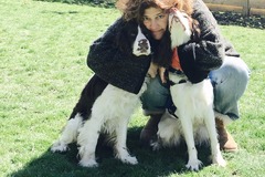 Request Quote: In Home Service Dog Training - Private K9 Trainers - Cleveland Heights, OH