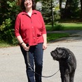 At Your Service Private Dog Training - Hadley, MA