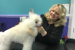 Request Quote: Love Fur Dogs - Dog Grooming Services - Glencoe, IL