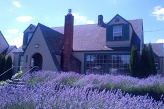 Request Quote: Veterinary Allegy & Dermatology Services - Springfield, OR