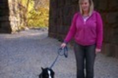 Request Quote: Start It Up Right In Home Private Dog Training - Bethesda, MD