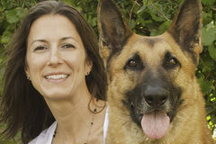 Request Quote: Positive In Home Dog Training - Tampa, FL