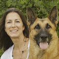 Positive In Home Dog Training - Tampa, FL