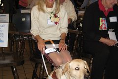 Request Quote: Private Dog Trainer and Canine Behaviorist - Lafayette, CA