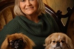 Request Quote: Just Fur-Babies - In Home Pet Sitting  - Olathe, KS