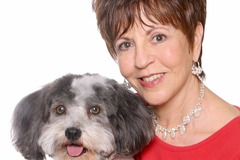 Request Quote: Carol Harris - In Home Dog Training - Private K9 Trainer - Jupiter, FL