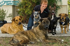 Request Quote: Private In Home Dog Training - Charleston, SC
