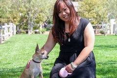 Request Quote: Professional Science Based Private Dog Training by Jenny - Pasadena, CA