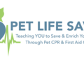 Pet CPR and Pet First Aid Class - Nationwide