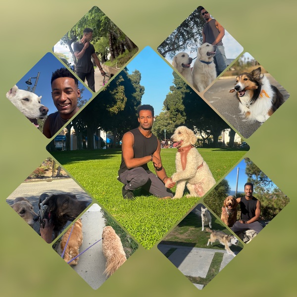 Photo output