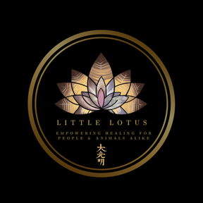 Little Lotus - Animal Reiki Therapy and Animal Communication - Columbus, OH