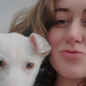 Animal Trauma Healer - Pet Reiki Care - Winnebago, IL
