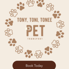 TTT Pet Transport | Flight Nannies - Atlanta, GA