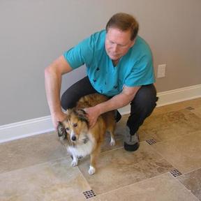 Little Critters Pet Chiropractic Services - Riverdale, NJ