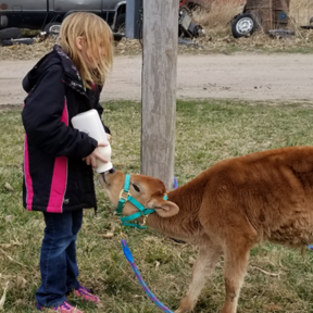 Lizzy Salmon - Animal Behaviorist and Dog Trainer - Central City, NE