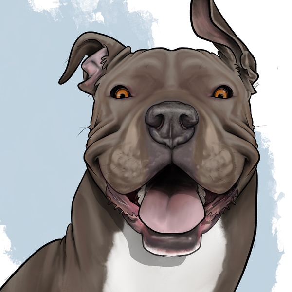 Canine Caricatures Pet Portraits - Nationwide