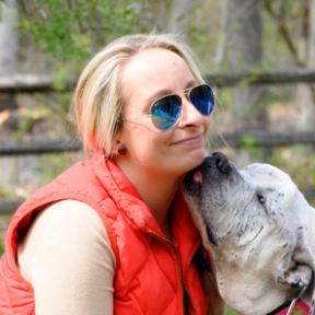 Well Mannered Mutt - Certified Dog Trainer - Fairfield, CT