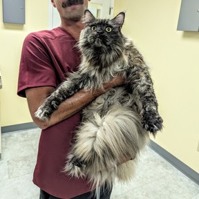 Stephen Kline Pet Sitting Services - Albany, NY