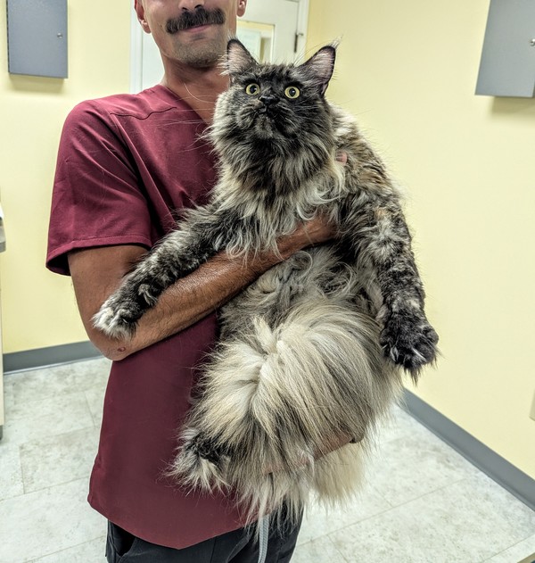 Pxl 20250925 193720674 2