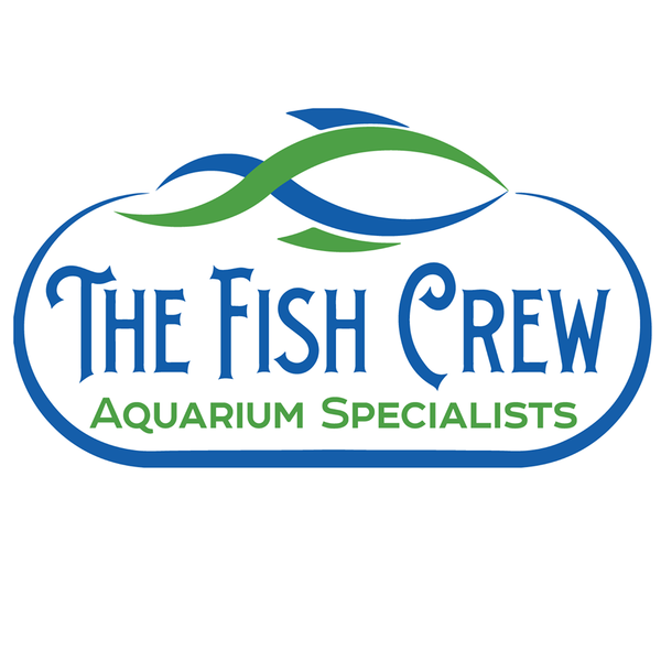 Top Aquarium Services in Fort Collins, CO