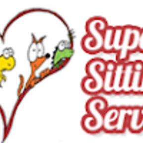 Superior Pet Sitting Services - Dog Walking and Pet Taxi  - Gulfport, FL