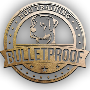 Bulletproof Private Dog Training  - San Antonio, TX