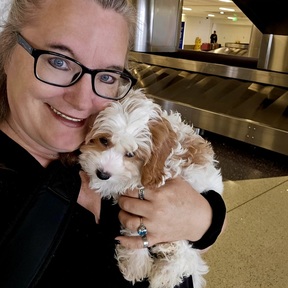 VIP Flight Nanny and Ground Pet Transport - LEO-CEDARVLE, IN