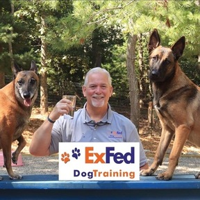 ExFed Dog Training, LLC - Brewster, MA
