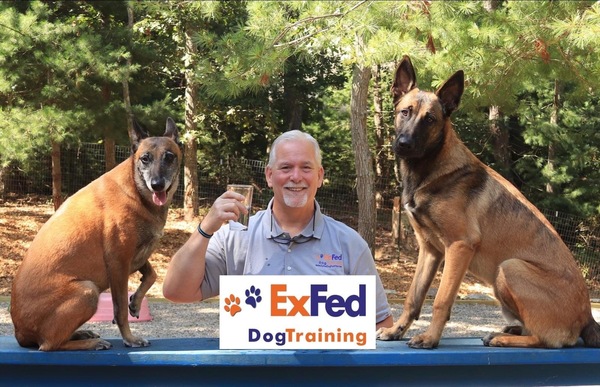 ExFed Dog Training, LLC - Brewster, MA