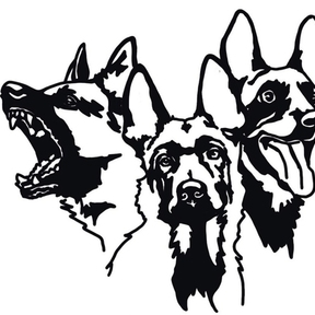 Canine Training Services  - Tacoma, WA