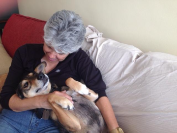 Reiki Healing for Pets - Animal Reiki Care - San Diego, CA