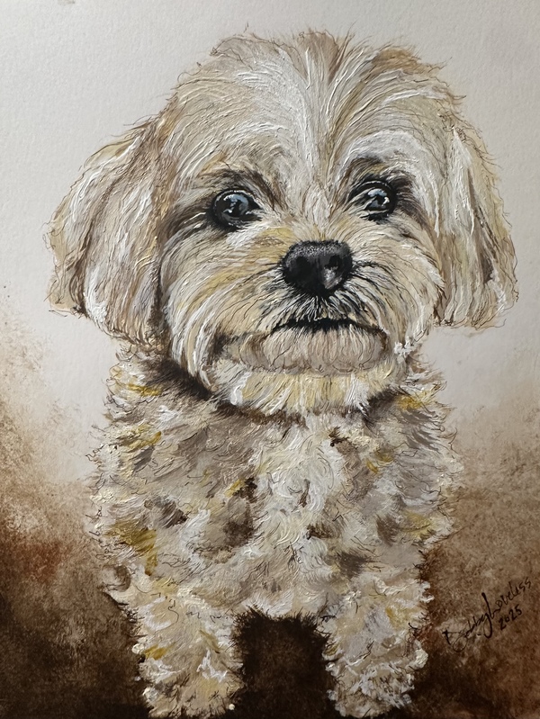 100   chloe mueller %282%29