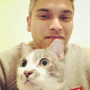 Compassionate Pet Transport by an Experienced Multi-Pet Pare - Lewisville, TX