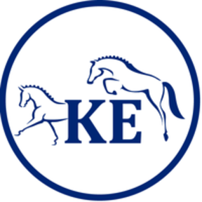 Experienced Equine Massage - Bodywork Therapy  - Elgin, SC